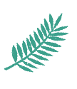 イラスト 草